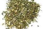 ACHILLEA Millefoglie sommità fiorita TT